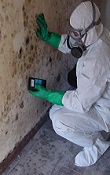 Mould Abatement